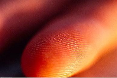 画面不再闪烁 《地平线：西之绝境》1.14版补丁对比